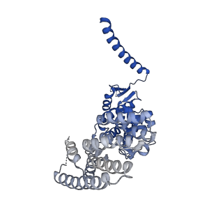 6479_3jck_D_v1-2
Structure of the yeast 26S proteasome lid sub-complex