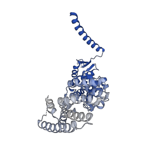 6479_3jck_D_v1-3
Structure of the yeast 26S proteasome lid sub-complex