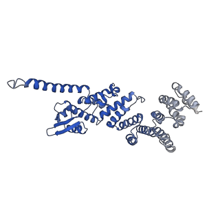 6479_3jck_F_v1-3
Structure of the yeast 26S proteasome lid sub-complex