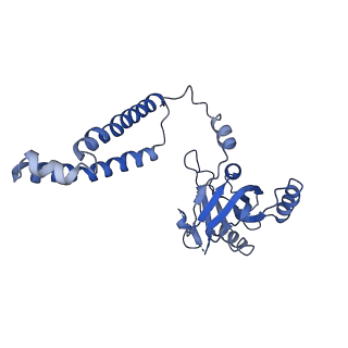 6479_3jck_G_v1-3
Structure of the yeast 26S proteasome lid sub-complex