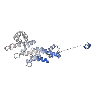 6479_3jck_H_v1-3
Structure of the yeast 26S proteasome lid sub-complex