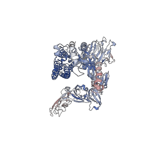 6526_3jcl_A_v1-3
Cryo-electron microscopy structure of a coronavirus spike glycoprotein trimer