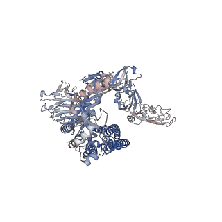 6526_3jcl_B_v1-3
Cryo-electron microscopy structure of a coronavirus spike glycoprotein trimer