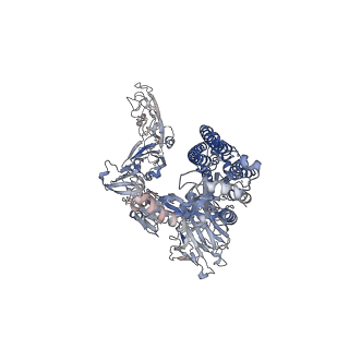 6526_3jcl_C_v1-3
Cryo-electron microscopy structure of a coronavirus spike glycoprotein trimer