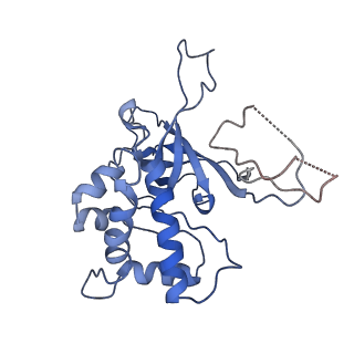 6534_3jc6_2_v1-4
Structure of the eukaryotic replicative CMG helicase and pumpjack motion