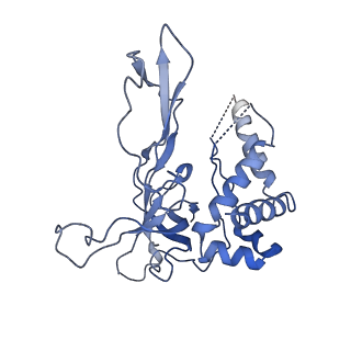 6534_3jc6_3_v1-4
Structure of the eukaryotic replicative CMG helicase and pumpjack motion