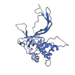 6534_3jc6_5_v1-4
Structure of the eukaryotic replicative CMG helicase and pumpjack motion