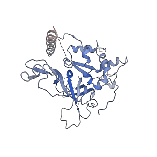 6534_3jc6_7_v1-4
Structure of the eukaryotic replicative CMG helicase and pumpjack motion