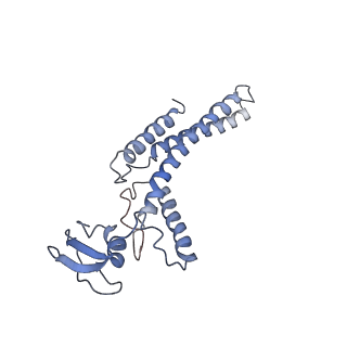 6534_3jc6_A_v1-4
Structure of the eukaryotic replicative CMG helicase and pumpjack motion