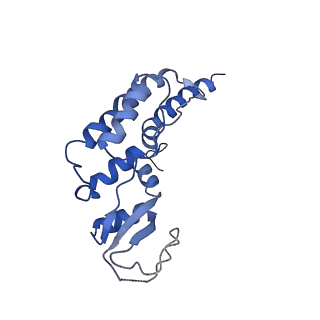 6534_3jc6_B_v1-4
Structure of the eukaryotic replicative CMG helicase and pumpjack motion