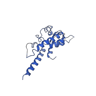 6534_3jc6_C_v1-4
Structure of the eukaryotic replicative CMG helicase and pumpjack motion