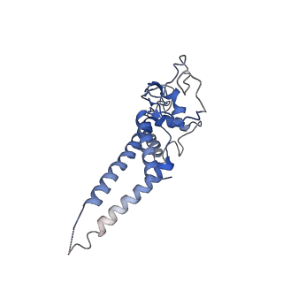 6534_3jc6_D_v1-4
Structure of the eukaryotic replicative CMG helicase and pumpjack motion
