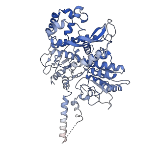 6534_3jc6_E_v1-4
Structure of the eukaryotic replicative CMG helicase and pumpjack motion