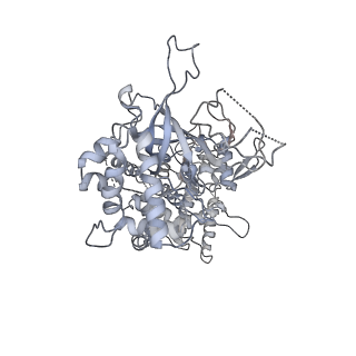 6535_3jc5_2_v1-4
Structure of the eukaryotic replicative CMG helicase and pumpjack motion