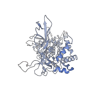 6535_3jc5_3_v1-4
Structure of the eukaryotic replicative CMG helicase and pumpjack motion