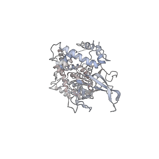 6535_3jc5_4_v1-4
Structure of the eukaryotic replicative CMG helicase and pumpjack motion