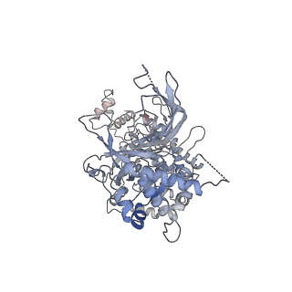 6535_3jc5_5_v1-4
Structure of the eukaryotic replicative CMG helicase and pumpjack motion