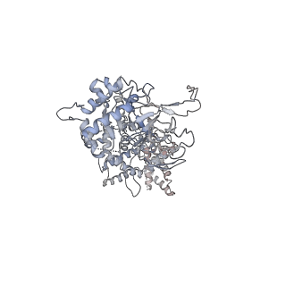 6535_3jc5_6_v1-4
Structure of the eukaryotic replicative CMG helicase and pumpjack motion