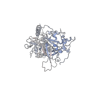 6535_3jc5_7_v1-4
Structure of the eukaryotic replicative CMG helicase and pumpjack motion