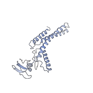6535_3jc5_A_v1-4
Structure of the eukaryotic replicative CMG helicase and pumpjack motion