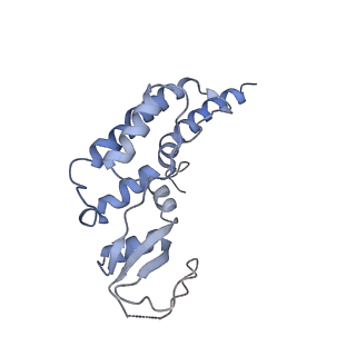 6535_3jc5_B_v1-4
Structure of the eukaryotic replicative CMG helicase and pumpjack motion