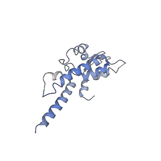 6535_3jc5_C_v1-4
Structure of the eukaryotic replicative CMG helicase and pumpjack motion