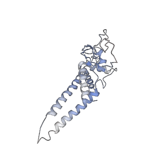 6535_3jc5_D_v1-4
Structure of the eukaryotic replicative CMG helicase and pumpjack motion