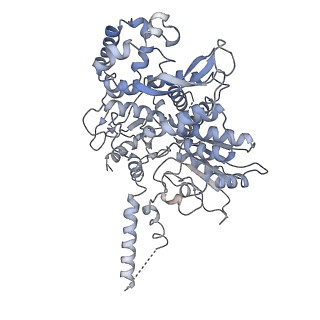 6535_3jc5_c_v1-4
Structure of the eukaryotic replicative CMG helicase and pumpjack motion