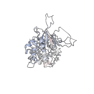 6536_3jc7_2_v1-4
Structure of the eukaryotic replicative CMG helicase and pumpjack motion