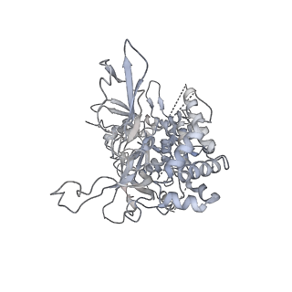 6536_3jc7_3_v1-4
Structure of the eukaryotic replicative CMG helicase and pumpjack motion