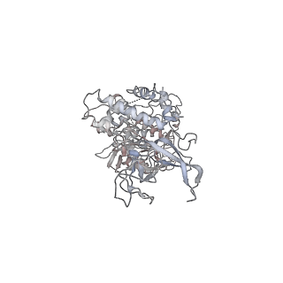 6536_3jc7_4_v1-4
Structure of the eukaryotic replicative CMG helicase and pumpjack motion