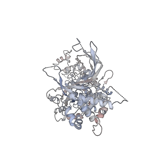 6536_3jc7_5_v1-4
Structure of the eukaryotic replicative CMG helicase and pumpjack motion