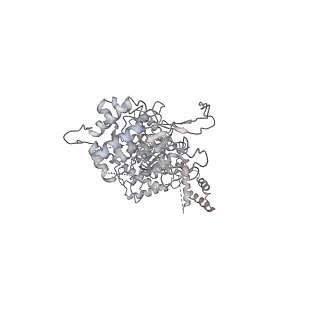 6536_3jc7_6_v1-4
Structure of the eukaryotic replicative CMG helicase and pumpjack motion