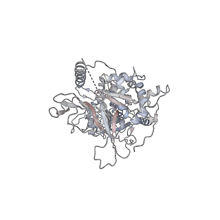 6536_3jc7_7_v1-4
Structure of the eukaryotic replicative CMG helicase and pumpjack motion