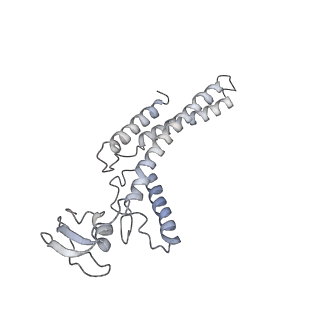 6536_3jc7_A_v1-4
Structure of the eukaryotic replicative CMG helicase and pumpjack motion
