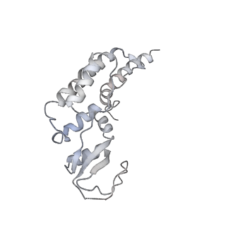6536_3jc7_B_v1-4
Structure of the eukaryotic replicative CMG helicase and pumpjack motion