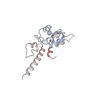 6536_3jc7_C_v1-4
Structure of the eukaryotic replicative CMG helicase and pumpjack motion