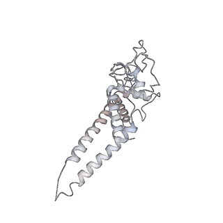 6536_3jc7_D_v1-4
Structure of the eukaryotic replicative CMG helicase and pumpjack motion