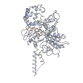 6536_3jc7_c_v1-4
Structure of the eukaryotic replicative CMG helicase and pumpjack motion