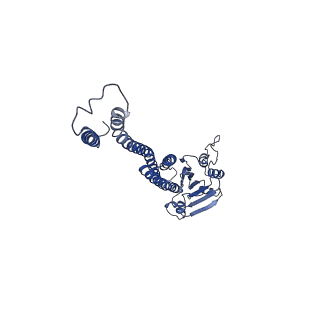 6551_3jcf_A_v1-3
Cryo-EM structure of the magnesium channel CorA in the closed symmetric magnesium-bound state