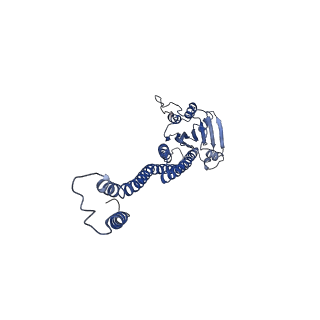 6551_3jcf_E_v1-2
Cryo-EM structure of the magnesium channel CorA in the closed symmetric magnesium-bound state