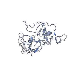 6559_3jcj_B_v1-2
Structures of ribosome-bound initiation factor 2 reveal the mechanism of subunit association