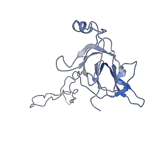6559_3jcj_C_v1-2
Structures of ribosome-bound initiation factor 2 reveal the mechanism of subunit association
