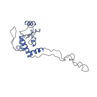 6559_3jcj_D_v1-2
Structures of ribosome-bound initiation factor 2 reveal the mechanism of subunit association