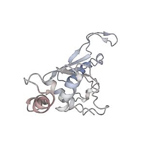 6559_3jcj_E_v1-2
Structures of ribosome-bound initiation factor 2 reveal the mechanism of subunit association