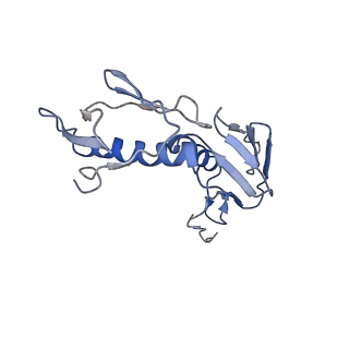 6559_3jcj_F_v1-2
Structures of ribosome-bound initiation factor 2 reveal the mechanism of subunit association