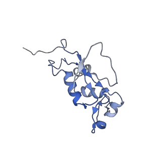 6559_3jcj_I_v1-2
Structures of ribosome-bound initiation factor 2 reveal the mechanism of subunit association