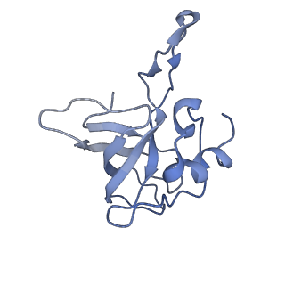 6559_3jcj_J_v1-2
Structures of ribosome-bound initiation factor 2 reveal the mechanism of subunit association
