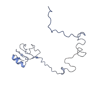6559_3jcj_K_v1-2
Structures of ribosome-bound initiation factor 2 reveal the mechanism of subunit association