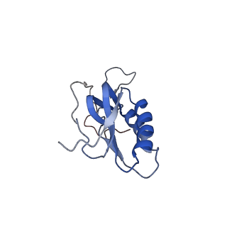 6559_3jcj_L_v1-2
Structures of ribosome-bound initiation factor 2 reveal the mechanism of subunit association